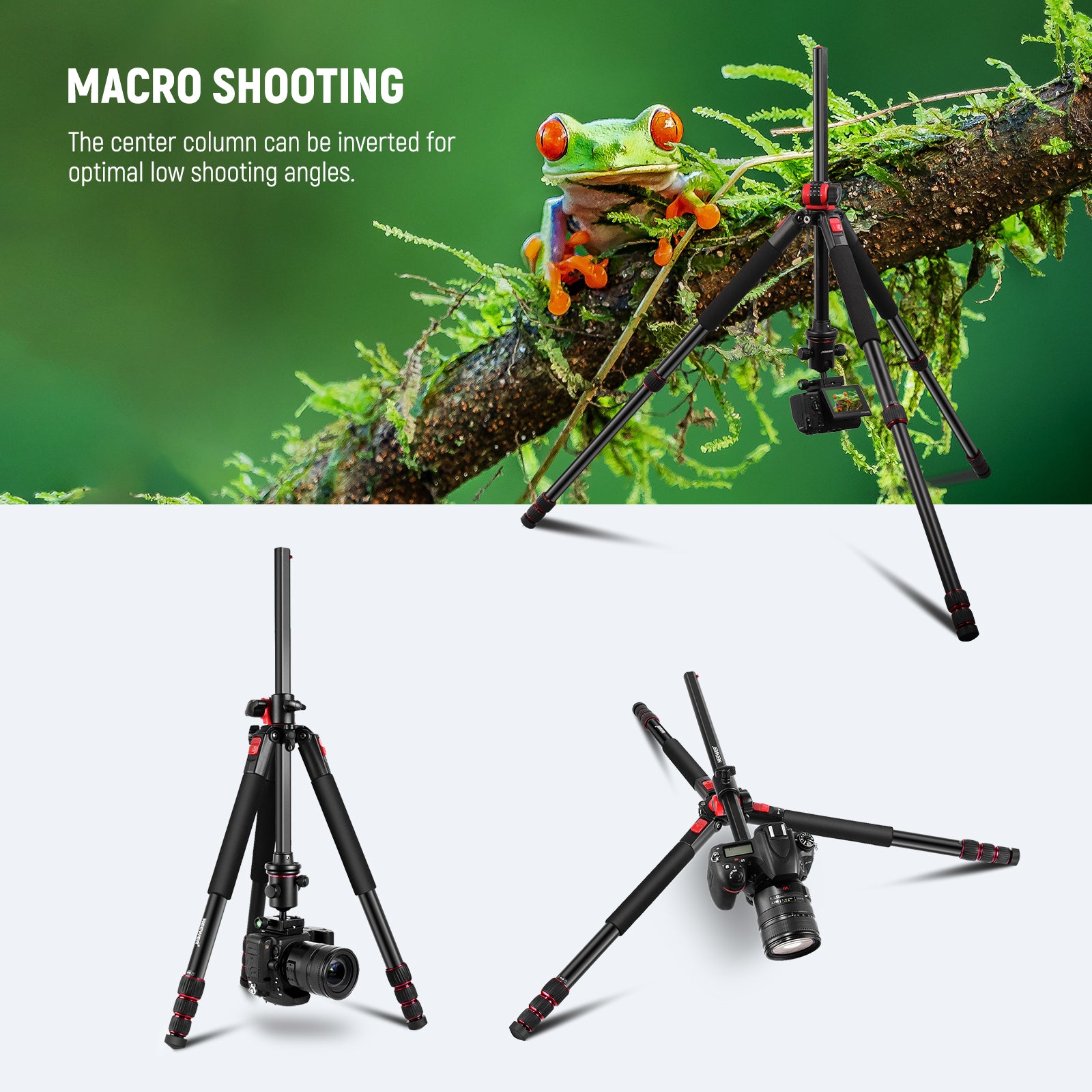 NEEWER N284L+G0 Camera Tripod Monopod is perfect for macro shooting.