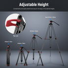 NEEWER DS801 Heavy Duty Tripod can easily extend.