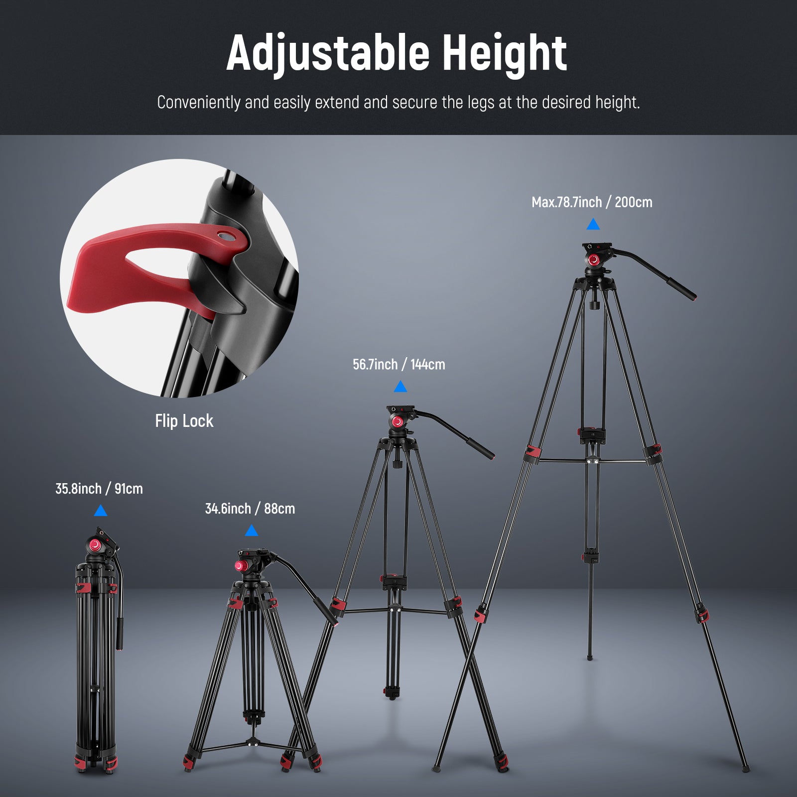 NEEWER DS801 Heavy Duty Tripod can easily extend.