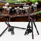NEEWER TP27 Horizontal Tripod is ideal for macro shooting.