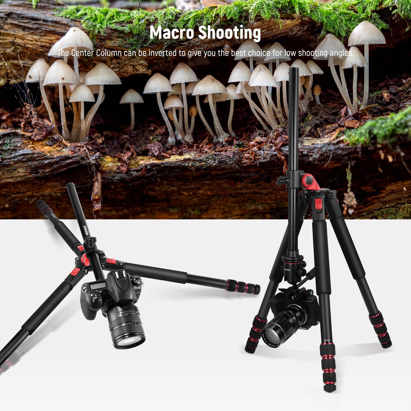 NEEWER TP27 Horizontal Tripod is ideal for macro shooting.