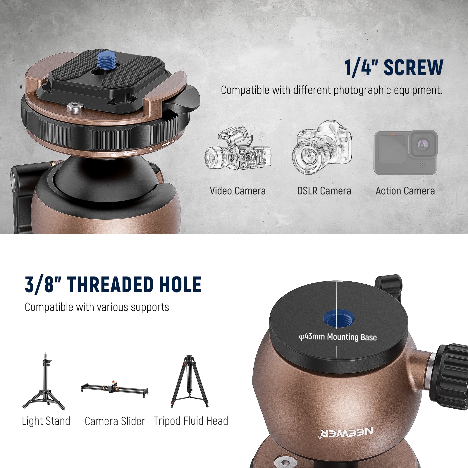 top 1/4" screw on the tripod head