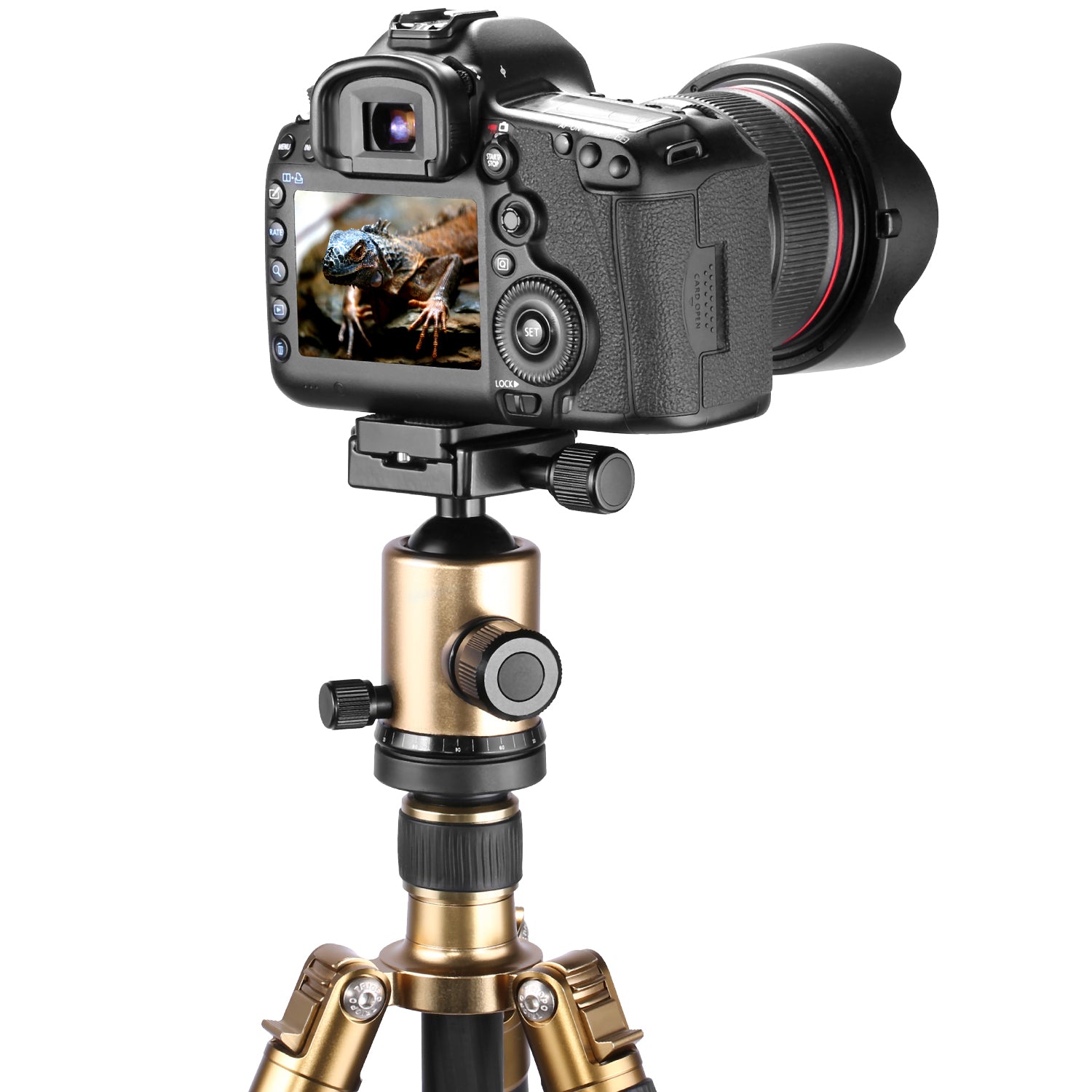 NEEWER PU-60 60mm Universal Quick Shoe Plate can fit perfectly.