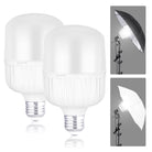 NEEWER T80 2 Packs E26 24W LED Light Bulbs