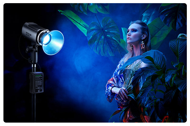 NEEWER Continuous Light