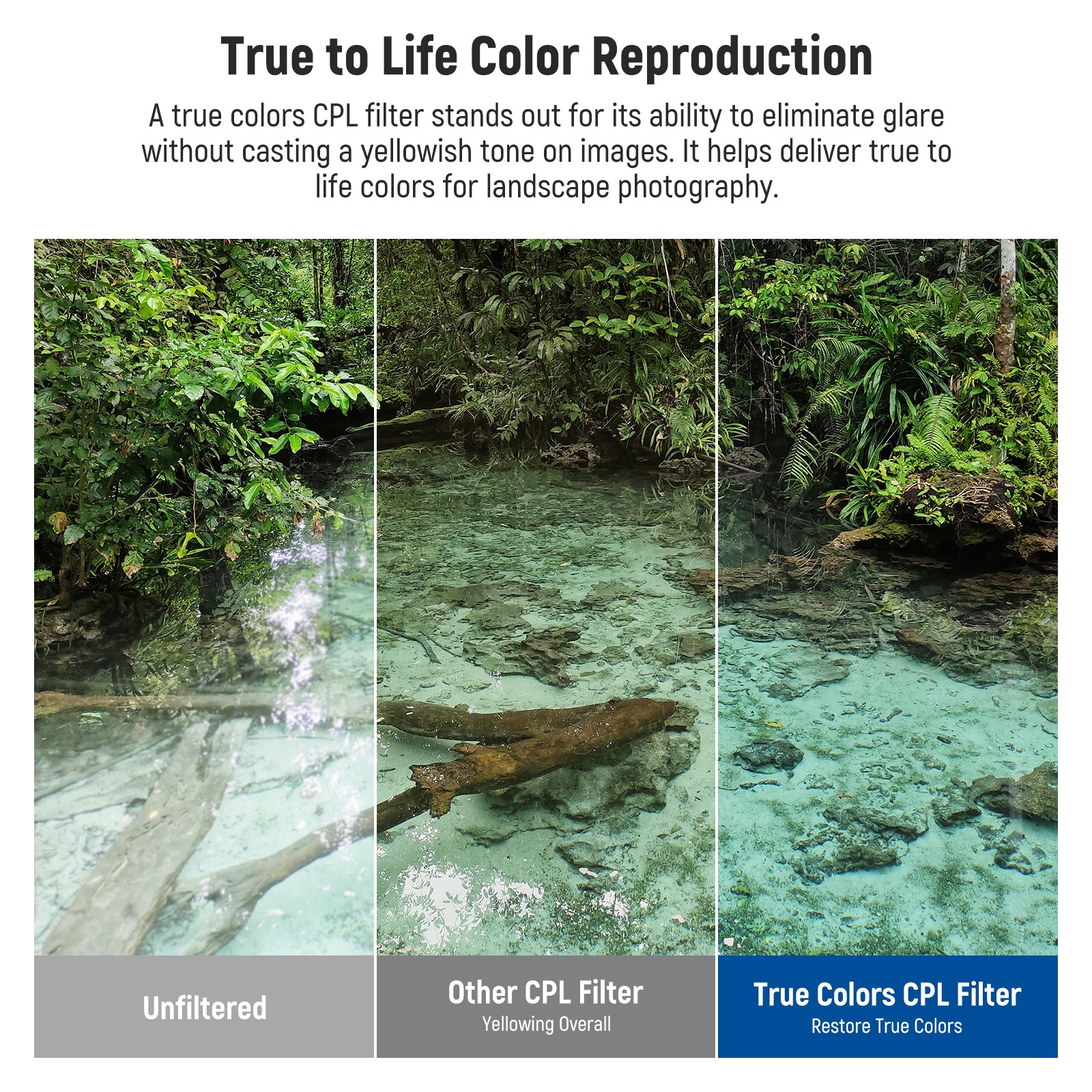 A true colors CPL filter stands out for its ability to eliminate glare without casting a yellowish tone on images