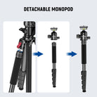 Easily detach one leg to convert the tripod into a monopod