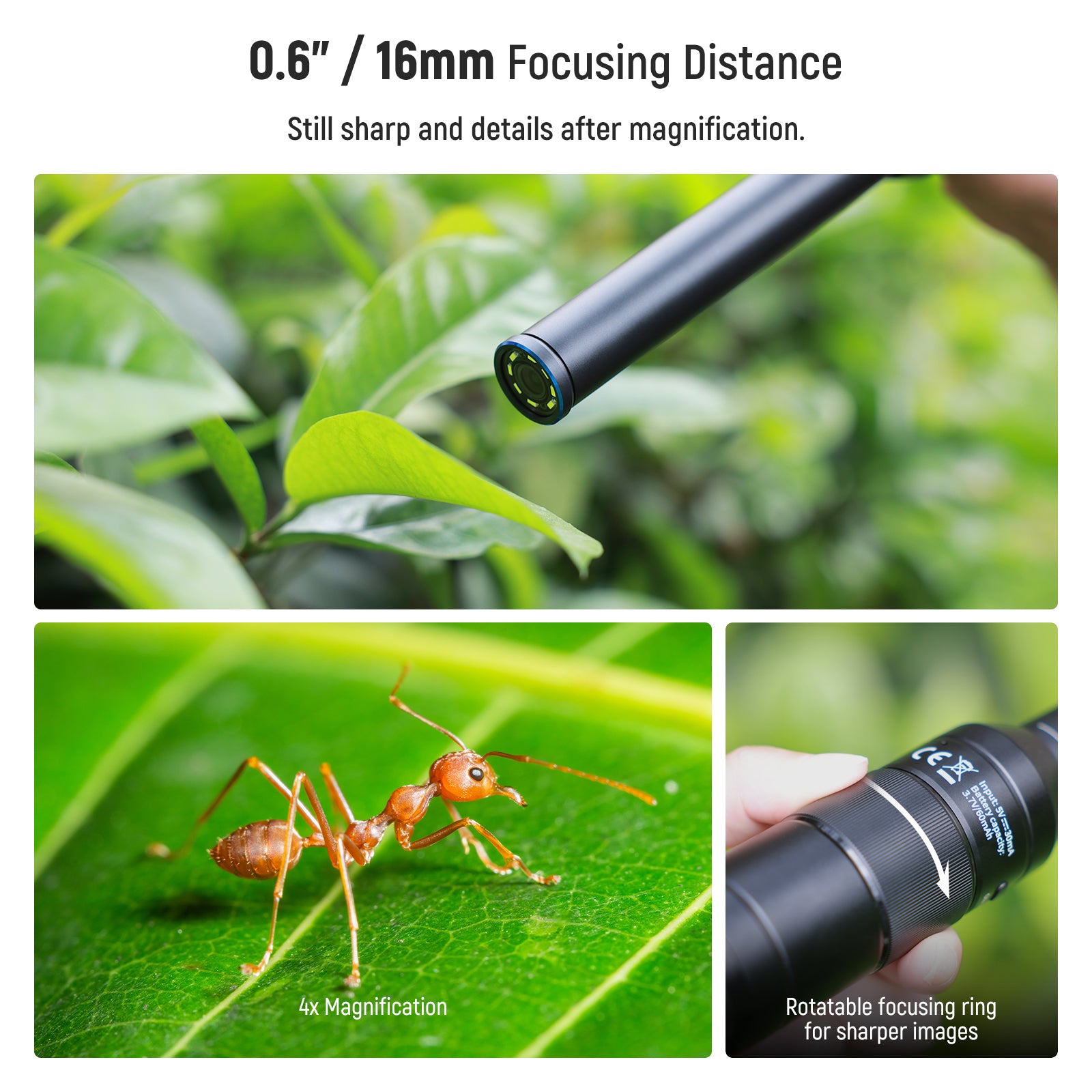 16mm focal distance offers still sharp details after magnification.